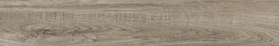 1905