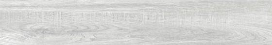 1906